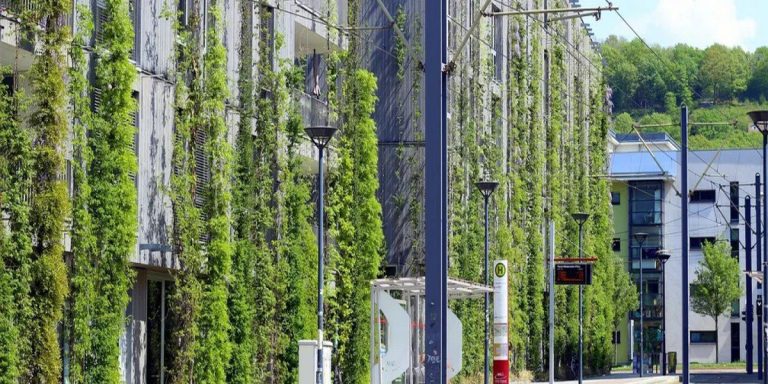 Hormigón bioreceptivo: fachadas verdes y sostenibles