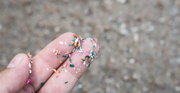 Hueso de calamar y celulosa: posible solución a los microplásticos