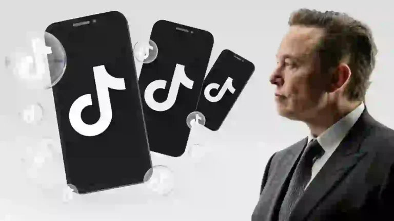 tiktok elon muskweb