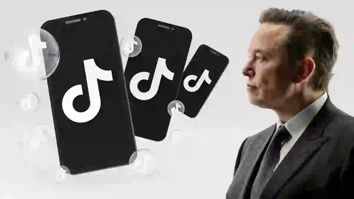 tiktok elon muskweb