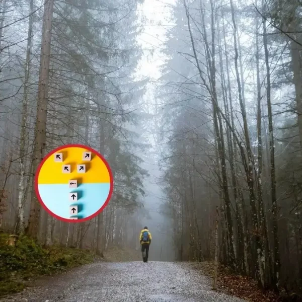 estas tres formas de experimentar el sentido de la vida predicen tu salud mental segun un estudio